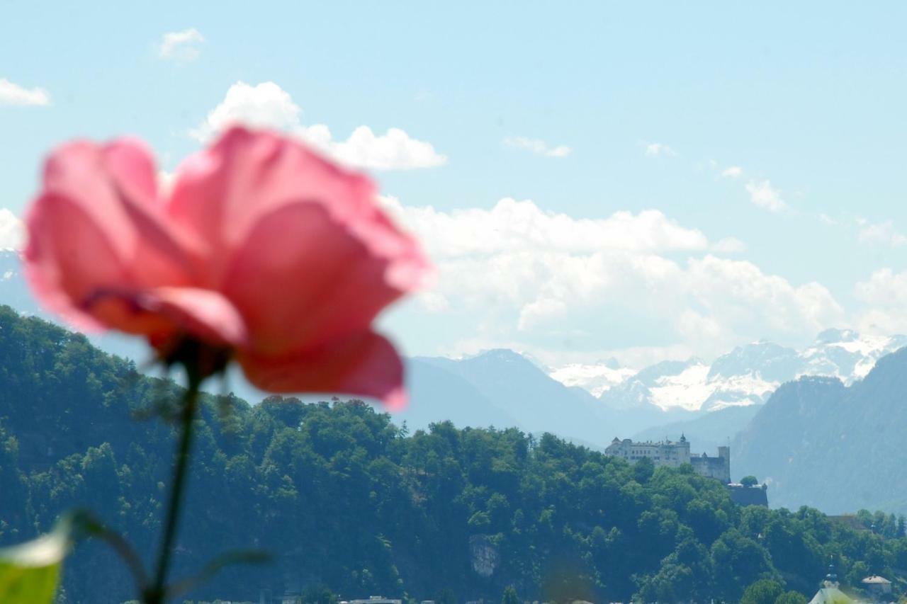 مبيت وإفطار Haus Salzburgblick المظهر الخارجي الصورة